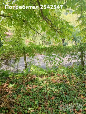Продавам ПАРЦЕЛ в с.Типченица област Враца , снимка 2 - Парцели - 55648311