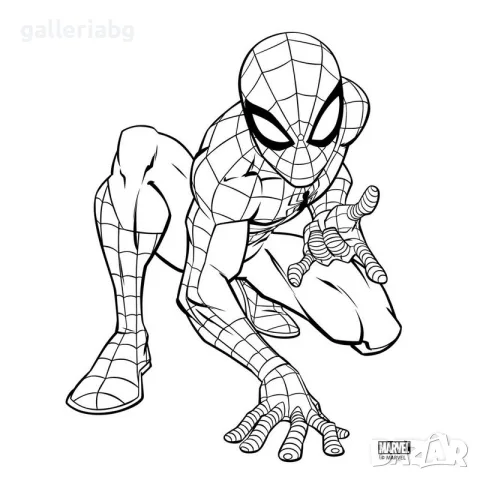 Детски комплект за оцветяване Spider-Man – 24 листа, 6 флумастера и стикери, снимка 4 - Рисуване и оцветяване - 56186140