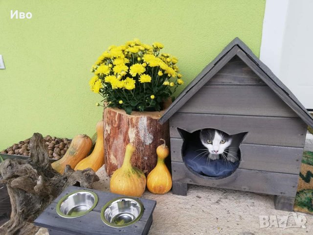 Къща за коте - размери С и М - Колиба за котета, Къщичка за котки, снимка 14 - За котки - 29516693