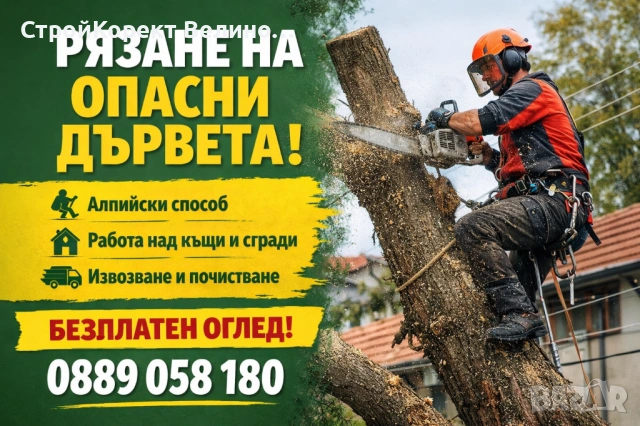 Рязане на опасни дървета