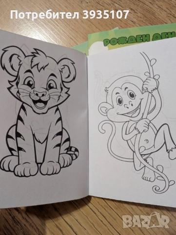 Персонализирана книжка за оцветяване с моливчета, снимка 5 - Детски книжки - 52434793