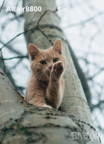 Nikon AF 35-70mm f/2.8D Nikkor обектив Никон #4/4, снимка 11 - Обективи и филтри - 52248148