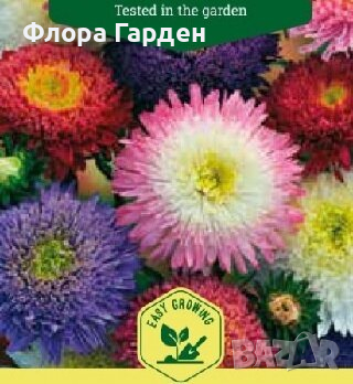 СЕМЕНА - Цветя едногодишни, снимка 8 - Сортови семена и луковици - 44836072