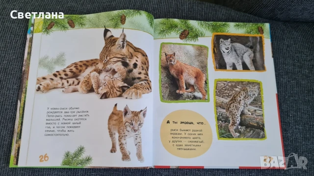 Детски книжки на руски език , снимка 11 - Детски книжки - 50683527