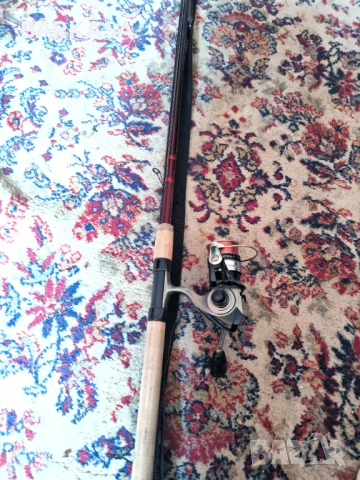 Мач въдица шаранджиски, снимка 3 - Въдици - 52732220