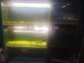 Продавам Аквариуми , снимка 3