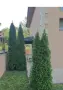 Продава се масивна санирана къща с панорамна тераса, гараж и прекрасно озеленен двор, снимка 10