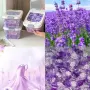 Капсули за пране 5 в 1 с аромат на лавандула – 300 бр., Концентрирани водоразтворими капсули , снимка 2