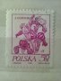 Стари Полски пощенски  марки, снимка 10