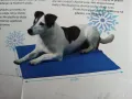 Охлаждаща постелка за куче 40/50см, снимка 1