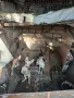 Продават се пинчери с паспорти , снимка 11