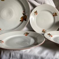 Голяма чиния/ плато с 6 малки чинии, есенни листа на Дянко Стефанов, ретро порцелан, снимка 3 - Сервизи - 39581837