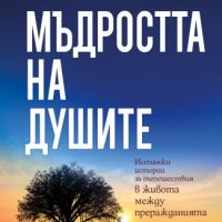 Мъдростта на душите, снимка 1 - Езотерика - 41834100