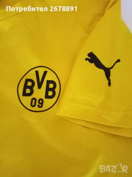 Памучна тениска" PUMA" на Борусия Дортмунд, снимка 1