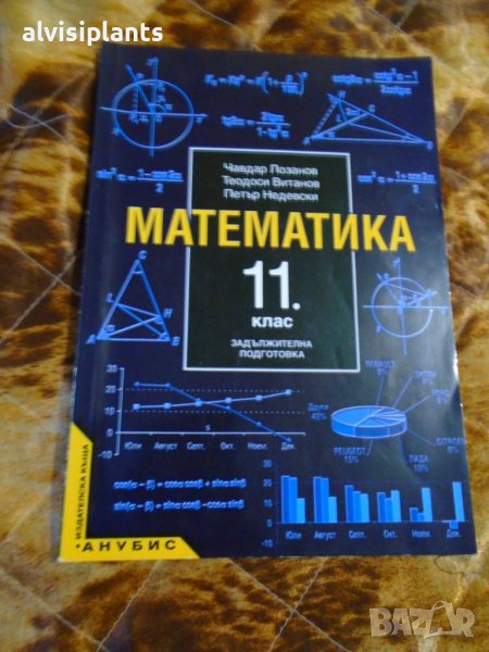 Математика за 11 клас издателство Анубис 2001, снимка 1