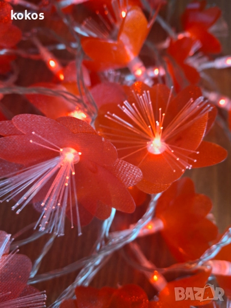 Многоцветни лампички червени цветя, снимка 1