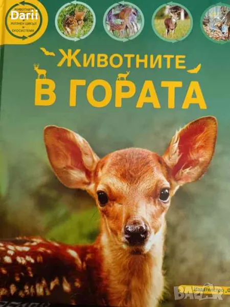 Животните в гората- Сийн Калъри, снимка 1