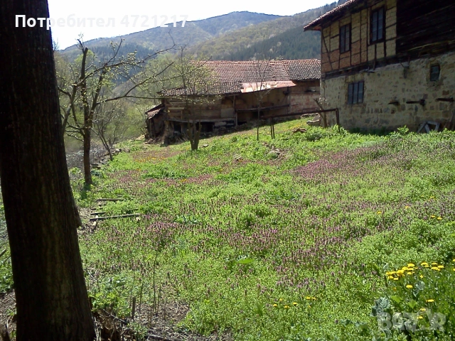 Парцел с лице към Прохода на Републиката, река и планина – с. Пчелиново, снимка 18 - Парцели - 53249355