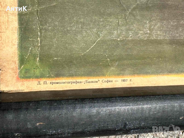 Соц Учебни Плакати Постери Биология, снимка 2 - Антикварни и старинни предмети - 51734458