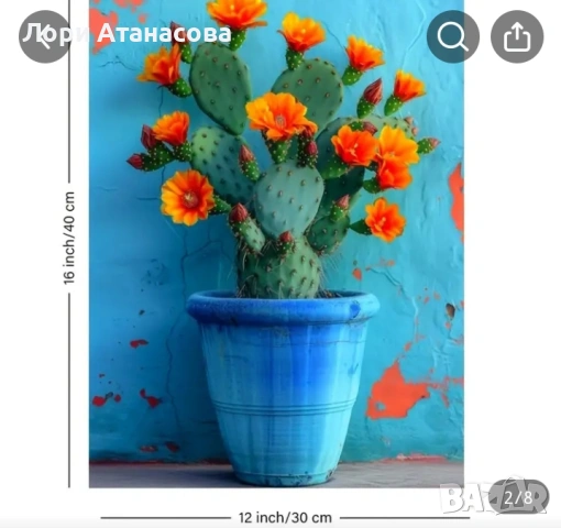 Стенна декорация с маслена живопис на кактус с рамка -, снимка 3 - Картини - 53223571