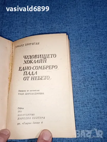 Ричард Бротиган - романи, снимка 5 - Художествена литература - 47499470