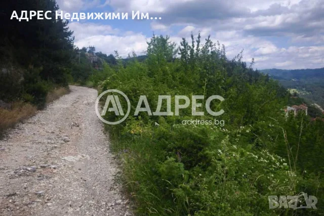 Парцел/Терен, продажба, Левочево, снимка 7 - Парцели - 55802880