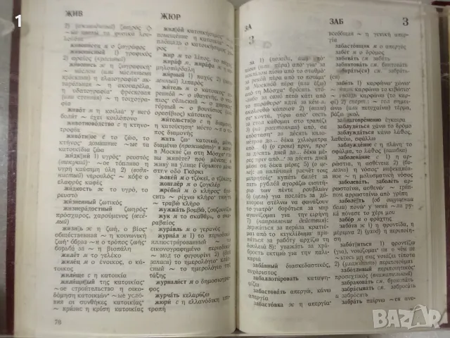 Гръцко-руски и руско-гръцки речници, снимка 6 - Чуждоезиково обучение, речници - 47265473