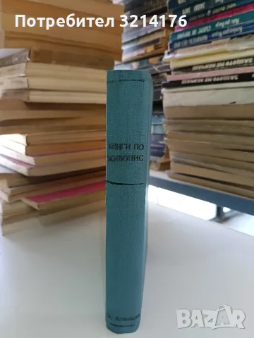 Живописта у нас / Християнски празници и обреди - Любен Белмустаков / М. Шестаков / Иван Койнаков, снимка 2 - Специализирана литература - 55948391