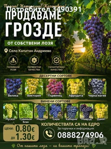 Продавам винско и десертно грозде