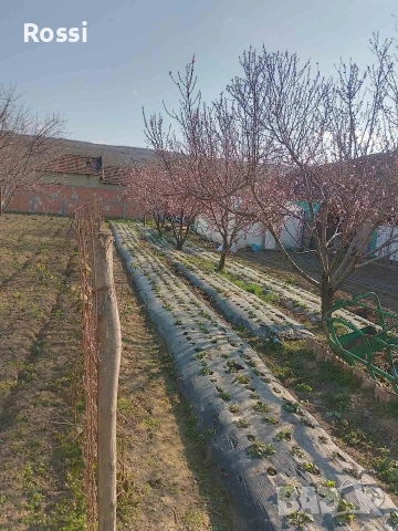 5 селски имота,ранчо/ферма, снимка 11 - Къщи - 53242279