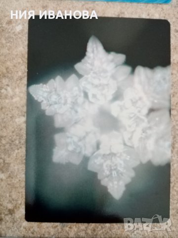 Таро и оракулски карти, снимка 9 - Карти за игра - 39404507