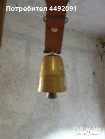 чанове Звънци 