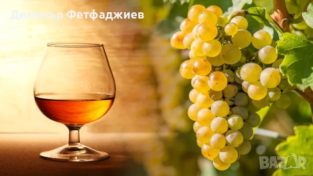 Грозде сорт Ркацители