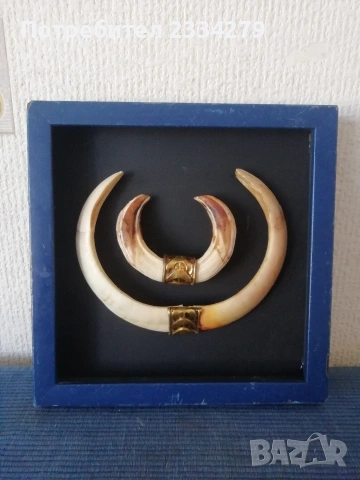 Рога от саръндаци и зъби от диво прасе, 70-80те години, снимка 17 - Колекции - 52583206