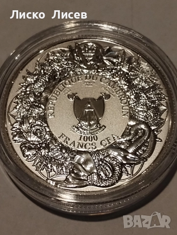 Камерун 1000 франка, снимка 5 - Нумизматика и бонистика - 52265558