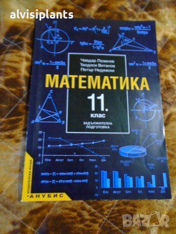 Математика за 11 клас издателство Анубис 2001