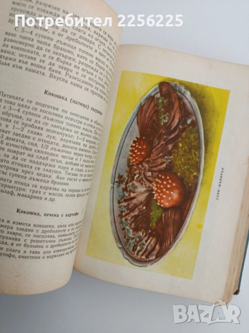 Книга за домакинята, снимка 5 - Специализирана литература - 52134062