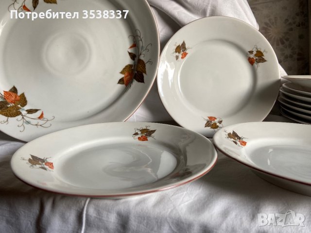 Голяма чиния/ плато с 6 малки чинии, есенни листа на Дянко Стефанов, ретро порцелан, снимка 3 - Сервизи - 39581837