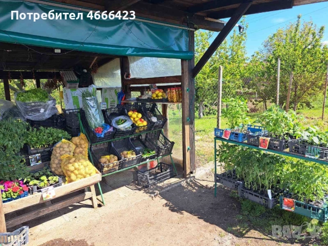 Собственик продава двуетажна масивна къща с три самостоятелни парцела и разработен бизнес , снимка 10 - Къщи - 52621406