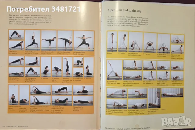 Справочник - Guide to Yoga, снимка 13 - Здраве, медицина и спорт - 55964345