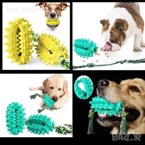 Играчка кактус – четка за зъби за домашни любимци