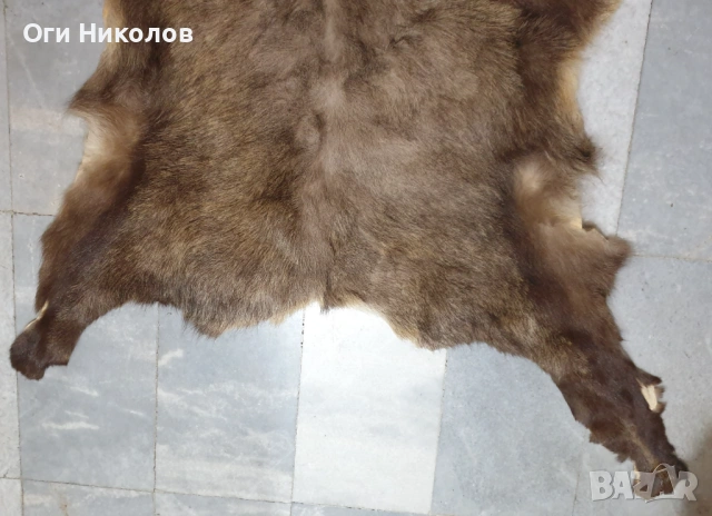 Дивечова кожа, снимка 2 - Антикварни и старинни предмети - 53218482