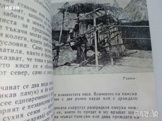 Гвинея - Ангел Овчаров - 1963г. , снимка 4 - Енциклопедии, справочници - 42103132