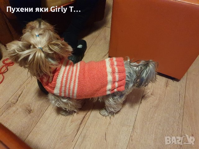 Плетена дрешка за куче М размер Различни цветове , снимка 9 - За кучета - 44343726