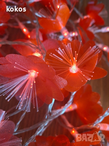 Многоцветни лампички червени цветя