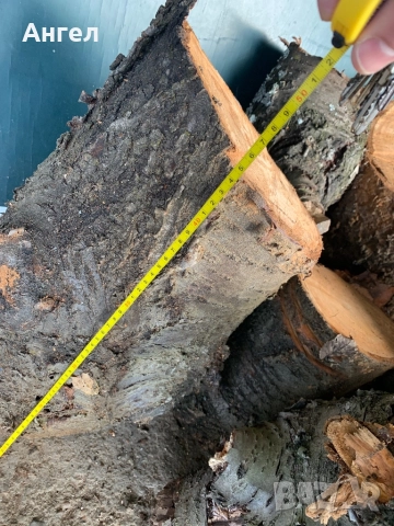 Трупи от череша октомври 2025, снимка 5 - Строителни материали - 52651747