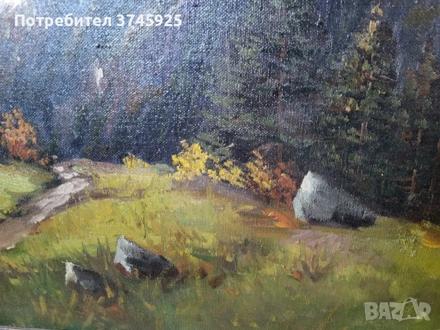 Стара картина 1890г. немски автор, снимка 8 - Картини - 50948940