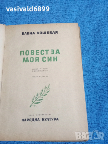 Елена Кошевая - Повест за моя син , снимка 4 - Художествена литература - 53516990