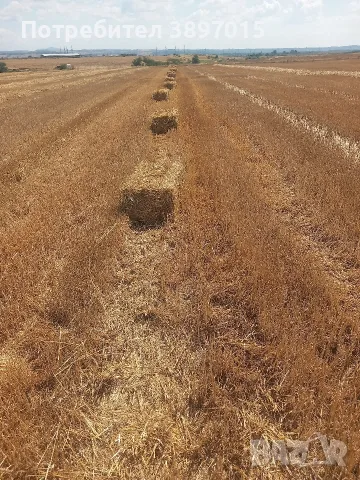 Продавам малки бали люцерна сено и слама с.Лозен общ.Любимец 