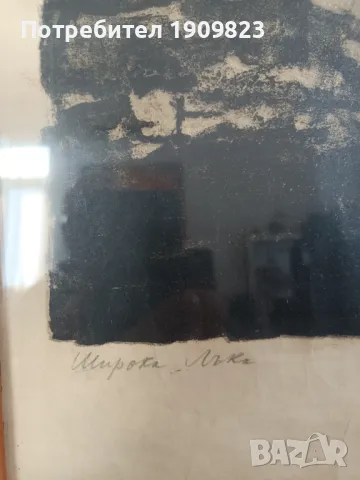 Картина Цветана Костуркова , снимка 7 - Картини - 48856640